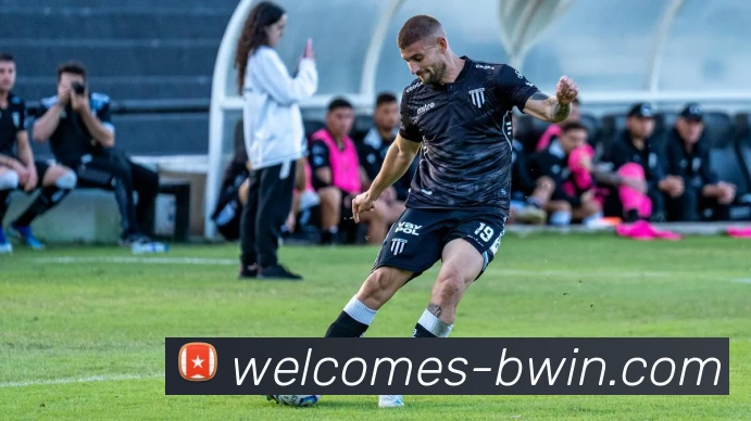 Bwin必赢官网发展历程